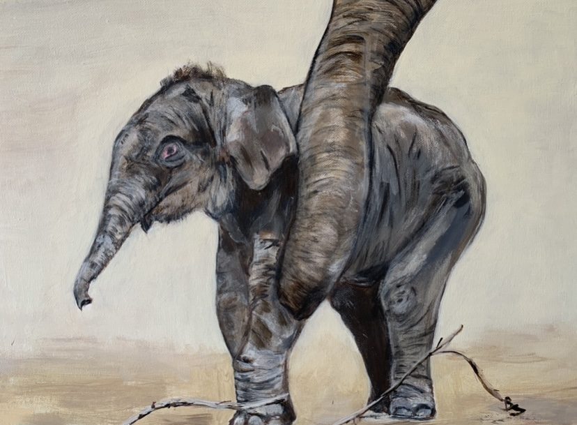 Acrylgemälde „Little Jumbo“ von Beate Schaefer – Kleiner Elefant umschlungen vom Rüssel seiner Mutter